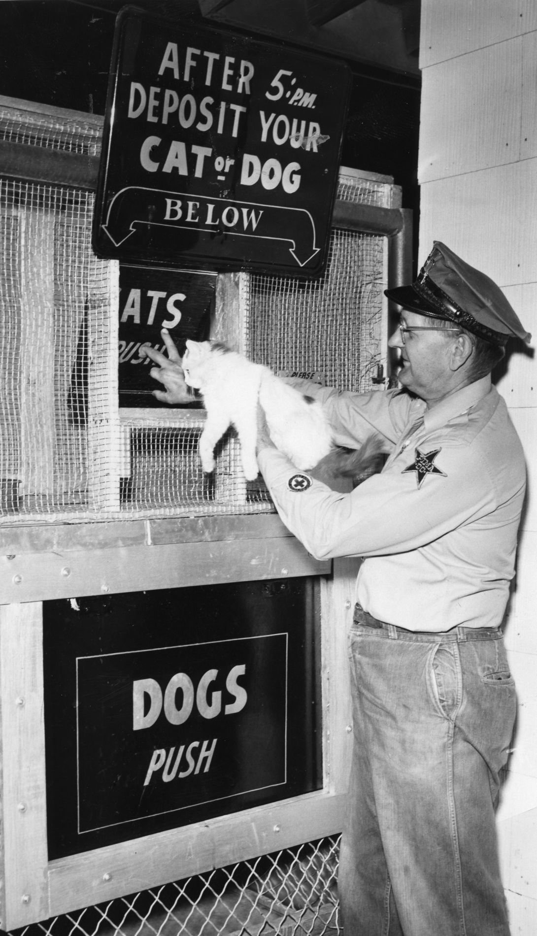 Pima County Animal Shelter drop-off